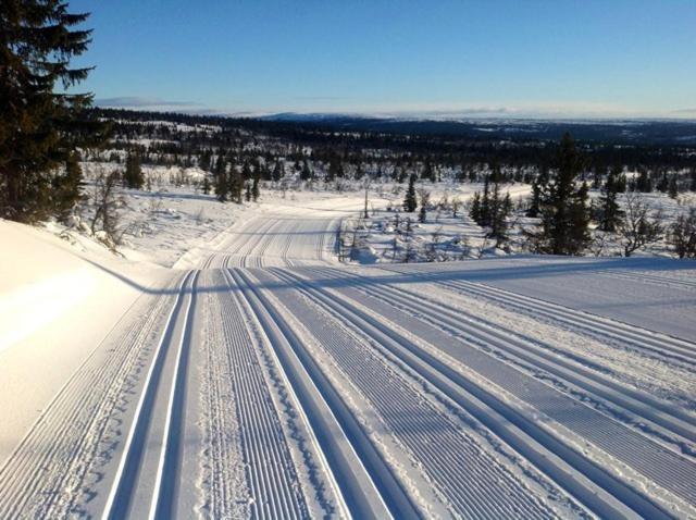 Centrally Located Cottage At Sjusjoen Ski Center Exteriér fotografie