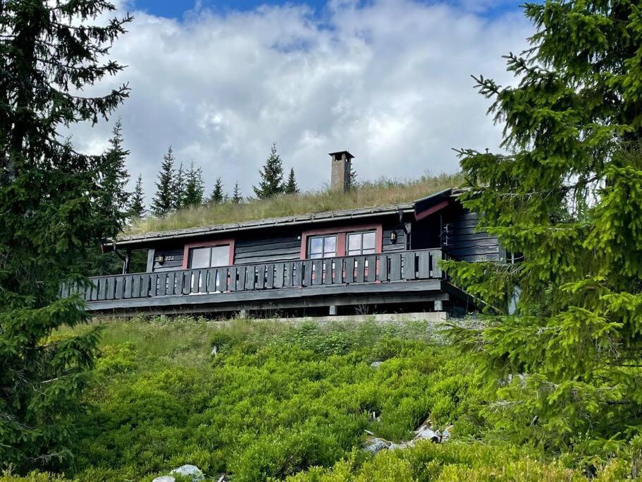 Centrally Located Cottage At Sjusjoen Ski Center Exteriér fotografie
